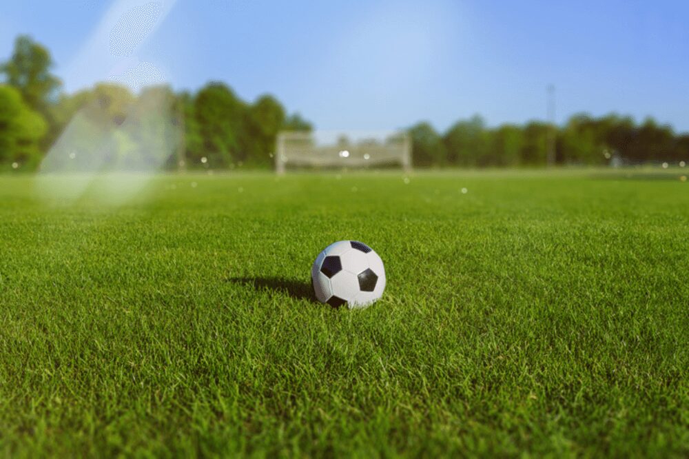 A soccer ball lying in an outdoor field